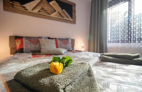 Oradea Apartment | Marc's SELF CHECK-IN with free parking