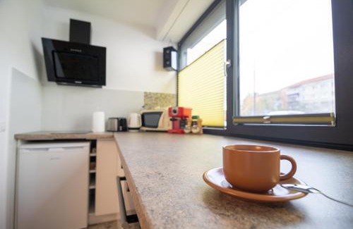 Oradea Apartment | Marc's SELF CHECK-IN with free parking