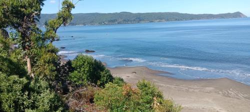 Valdivia Apartment | MARE VENTUM