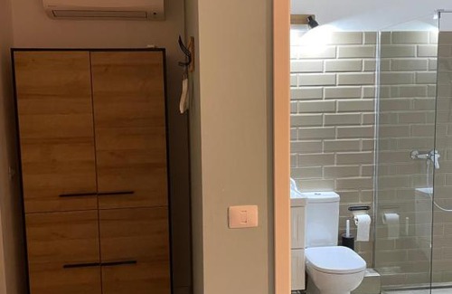 Timisoara House | Maremi