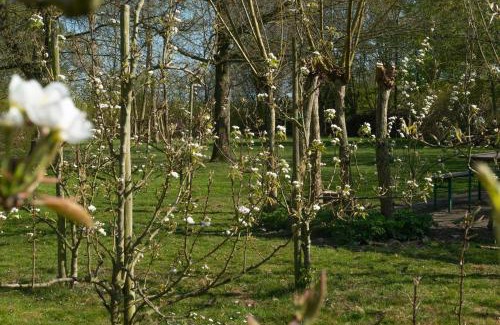 Houten Bed & Breakfast | Marenhoeve