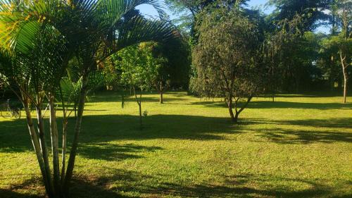 Eastern Region Other | Margaretville Camping site