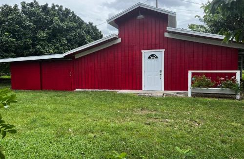 Homestead House | Maria's Tiny Barn