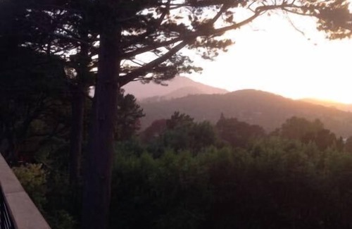Corte Madera House | Marin county magic, close to downtown, biking, sailing, and the wine country!