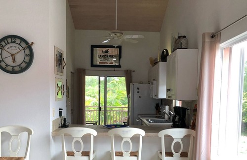 South Bimini Condo | Marina & Ocean View - Infinity Pool & Beach!