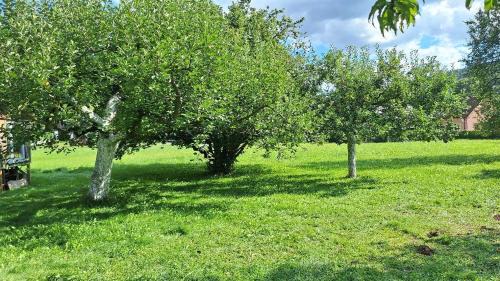 Suchovrsice Other | Maringotka pod Lískou