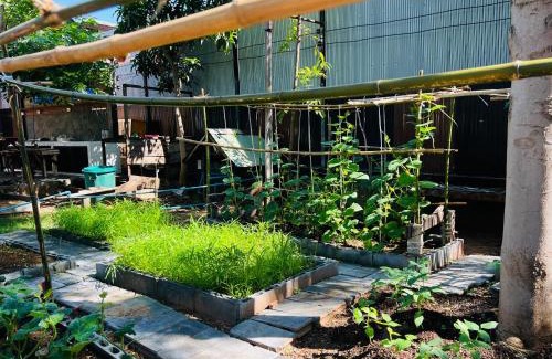 Ban Phai House | Markai Garden