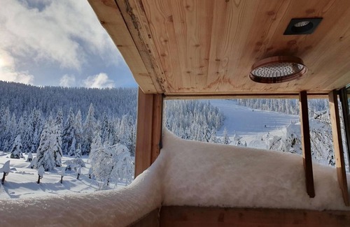 Albeck Cabin | Marktlhütte, Österreich