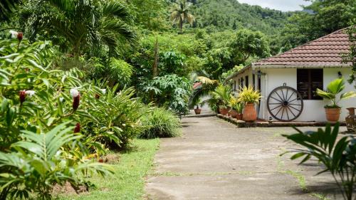 Le Morne-Vert Cabin | Martinique Treehouse