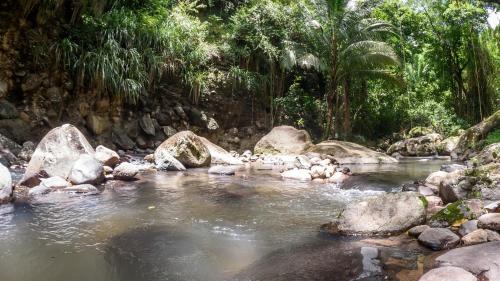 Le Morne-Vert Cabin | Martinique Treehouse