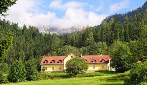 Neuberg An Der Muerz Apartment | Marx Bauernhaus