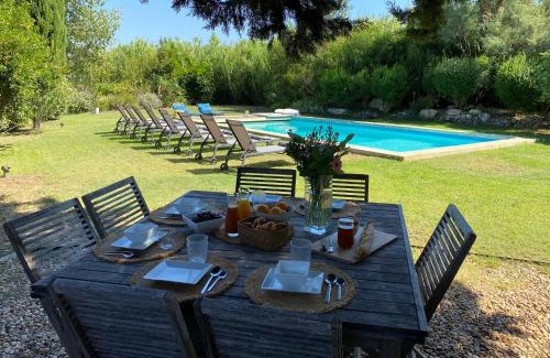 Maussane Bed & Breakfast | Mas des Alpilles