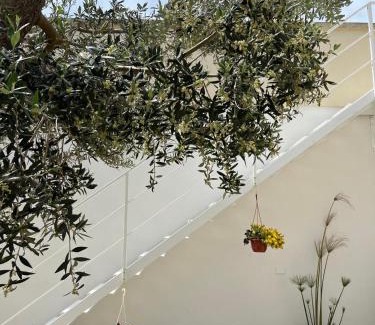 Giurdignano House | Masseria Causio