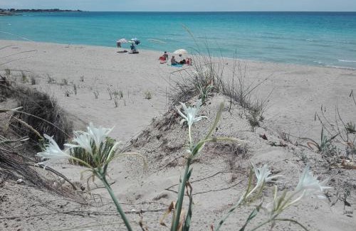 Torricella House | Masseria Giustiniani