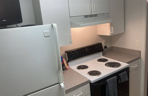 Rosewood Apartment | Masters themed 1 KING bed 1 bath apartment Columbia SC Airbnb Superhost