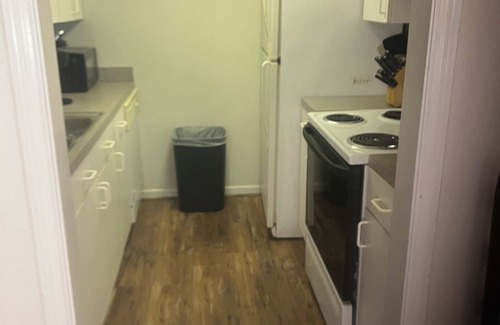 Rosewood Apartment | Masters themed 1 KING bed 1 bath apartment Columbia SC Airbnb Superhost