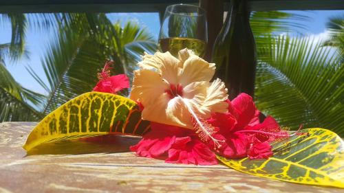 Aitutaki Hotel | Matriki Beach Huts