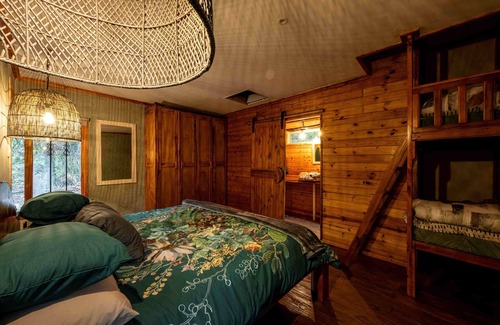 Tzaneen Cabin | Matumi Trail Forest Lodge