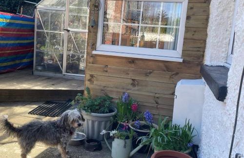 Seaton House | May Rose Cottage