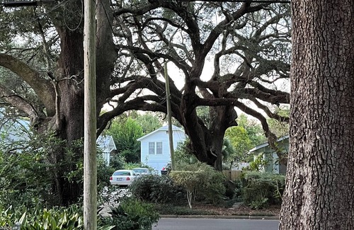 East Hill House | McNair Cottage 5 blocks from Bay, downtown, and 10 minutes from Pensacola Beach