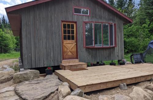 Hastings Highlands Other | Meadowlark Cabin #5