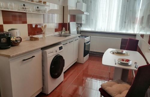 Alba Iulia Apartment | Medeea Studio