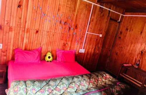 Shangarh Hotel | Meet by cooincidence homestay - A place of peace and nature