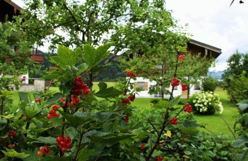 Blindau House | Menkenhof