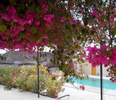 Aghir House | Menzel Sonia Caja