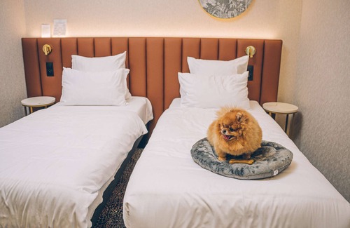 Bialystok Hotel | Mercure Bialystok