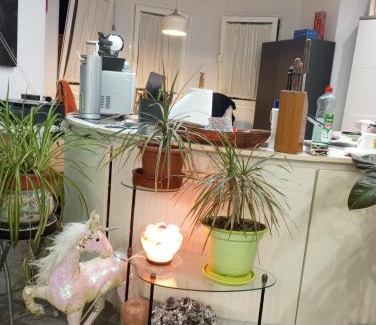 Las Rosas Apartment | Mes 5 Bijoux
