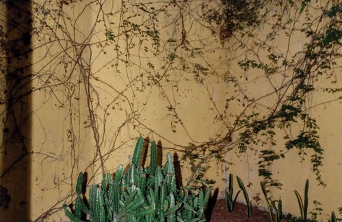 San Agustin Villa | Mexican Villa.nGrand home with private pool, space, view, and total relaxation.