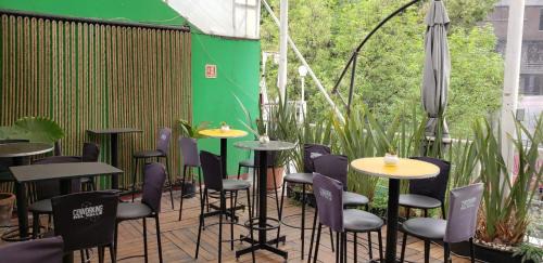 Narvarte Poniente House | Mexico City Guesthouse