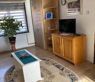 Pirot Apartment | Mićin dom