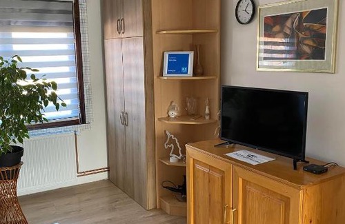 Pirot Apartment | Mićin dom