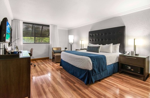 Miami Lakes Hotel | Miami Lakes Hotel