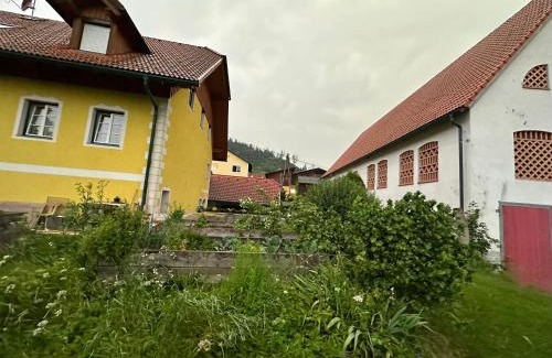 Thalheim House | Michlbauer - Kaufmann Aloisia