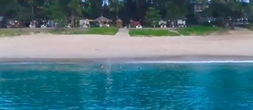 Mai Khao House | Micky Monkey Beach Hotel Phuket Maikhao Thailand