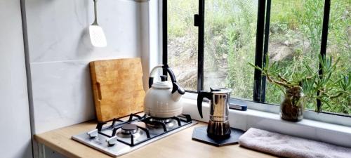 Morts Estate House | Micro Mansion with big deck and views in Lovely Lithglow