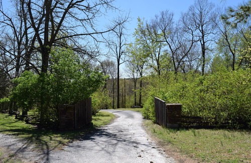 Fayetteville House | Mid century modern retreat with hot tub! Nature lovers staycation!