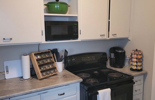 Hibbing Apartment | Mid-century Vintage Apartment