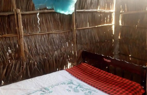 Gede Other | Mida Creek Nature Camp