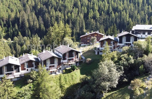 Grimentz Apartment | Middle class flat for 5 people, living room with fireplace, kitchen area with dishwasher, 1 bedroom