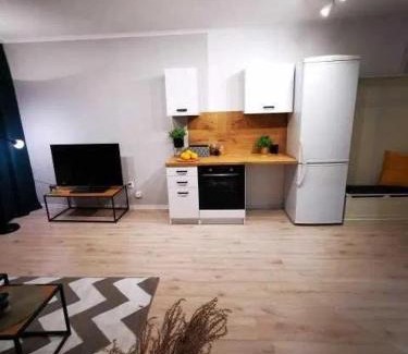 Pulawy Apartment | Mieszkania Osmolickie Puławy Azoty