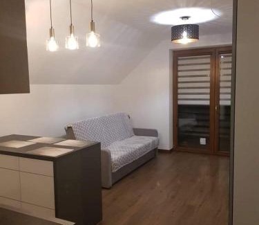 Pcim Apartment | Mieszkanie do wynajęcia