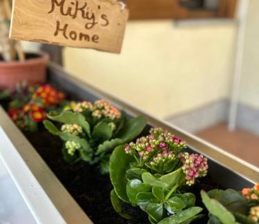 Leggiuno Apartment | Miky’S home