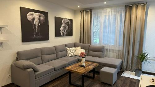 Trnava Apartment | Milde's apartment near the city center - Hospodarska street