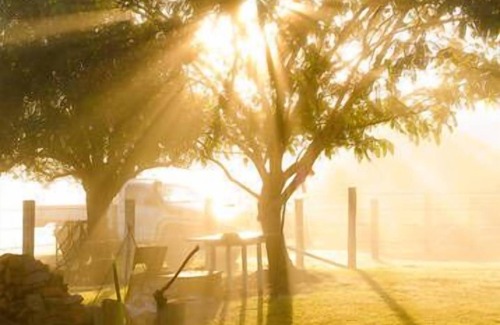 Milford Cottage | Milford Country Cottages (Bottletree Cottage)