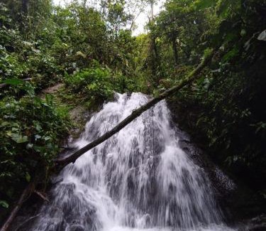 Mindo House | Mindo Eco Suite con Rio y Cascada