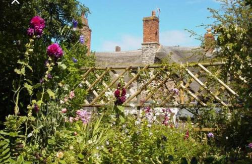 Minehead House | Minehead Forget me not Cottage